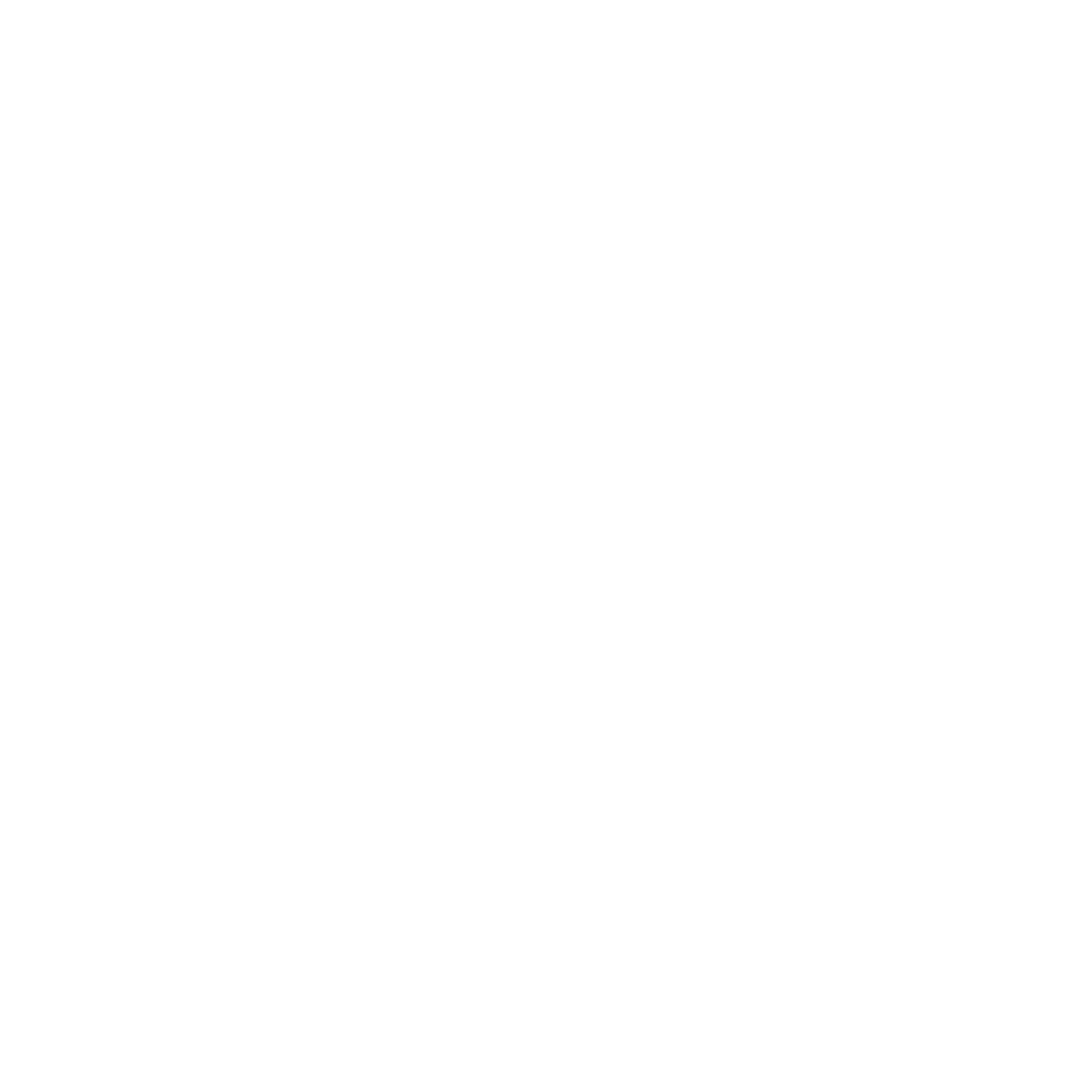 Blanca Icon